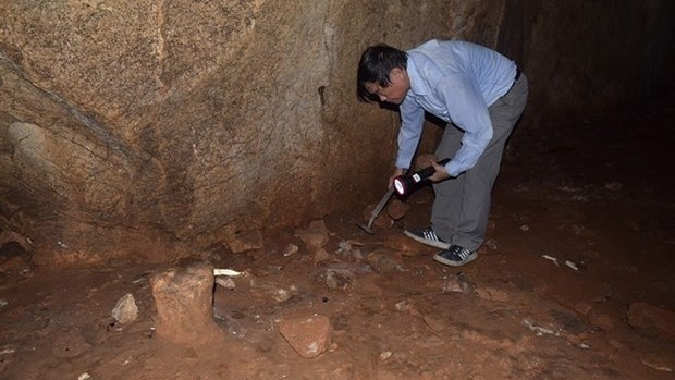 An archaeologist surveys a cave in Bac Kan Province. (Photo: VNA/File Photo)