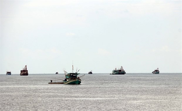 Fishing boats in the southernmost province of Ca Mau (Photo: VNA)