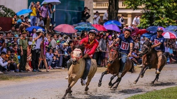 A traditional horse race will be organised within the framework of the festival (Photo: VNA)