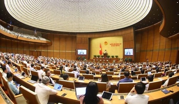 An overview of the NA session (Photo: VNA) 