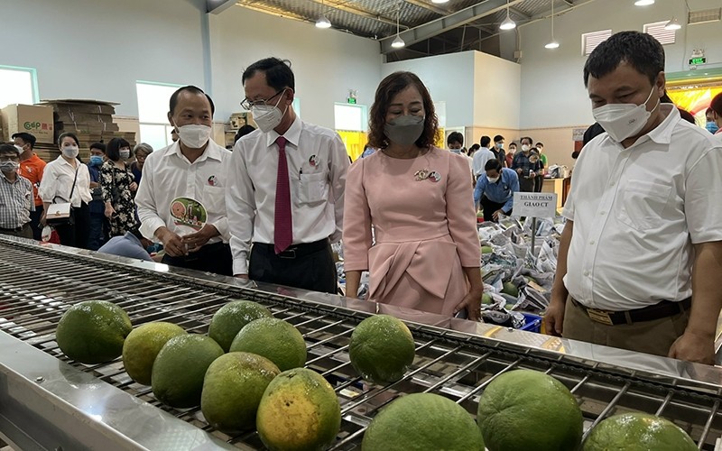 Green grapefruit will be exported to the US market in the near future.