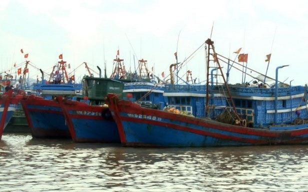 Fishing ships anchored at Tinh Ky Port, Quang Ngai City. (Photo: VNA)