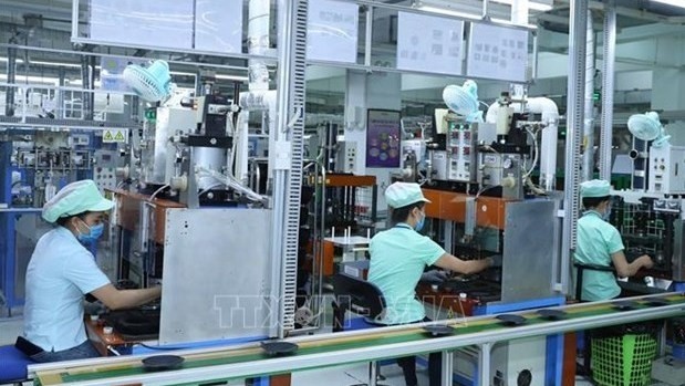 Vietnam’s export value to the EU grew further in the first five months of this year. (Photo: VNA)