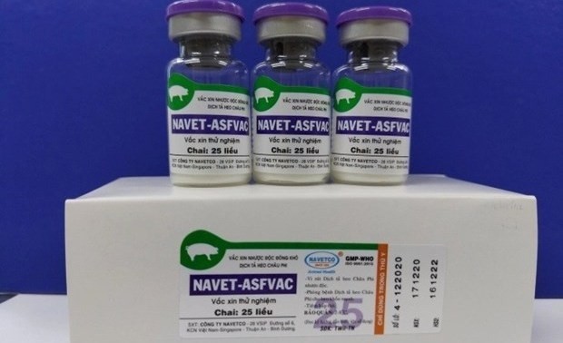 NAVET-ASFVAC vaccine (Photo: VNA)