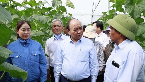 President Nguyen Xuan Phuc visits a farm of Tan Minh Duc cooperative in Pham Tran commune, Gia Loc district (Photo: VNA)