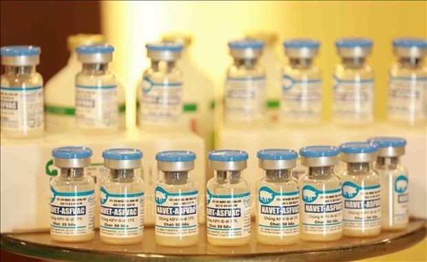 Vietnam's NAVET-ASFVAC vaccine (Photo: VNA)