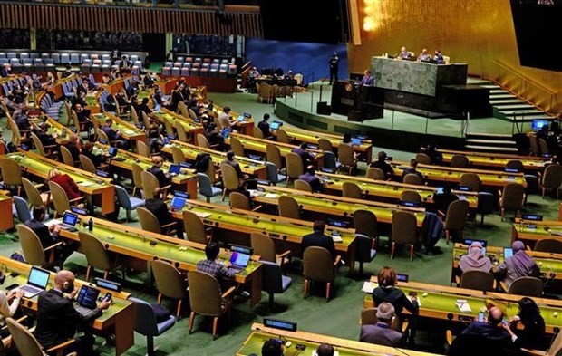 A meeting of the UN General Assembly in New York on March 1, 2022 (Photo: AFP/VNA)