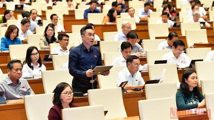 The NA debated the draft law on prevention and combat of domestic violence (revised). (Photo: NDO)
