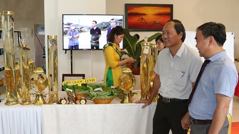 Ngoc Linh ginseng products on display at the event.