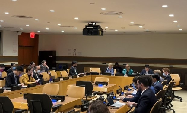 The consultation on the UNGA draft resolution on the epidemic preparedness and response (Photo: VNA)
