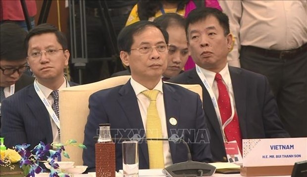 Vietnamese Foreign Minister Bui Thanh Son attends the Special ASEAN-India Foreign Ministers' Meeting (SAIFMM) in New Delhi on June 16  (Photo: VNA) 