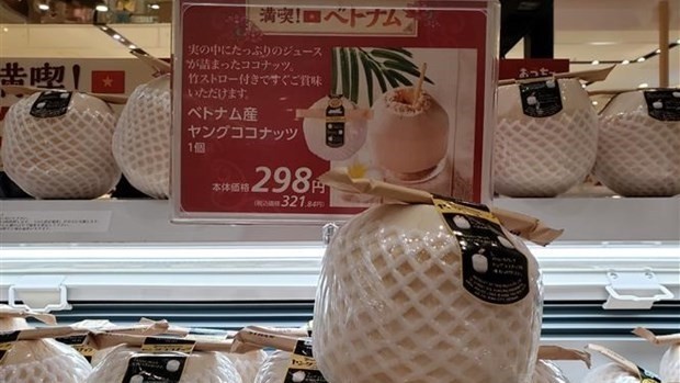Fresh coconuts imported from Vietnam are on sale at AEON Lake Town Mall in Saitama, Japan. (Photo: VNA)