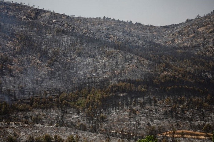 A wildfire continues to burn out of control in northwest Spain, destroying more than 19,000 hectares of land, amid an intense heatwave, the regional government of Castile and Leon has tweeted.