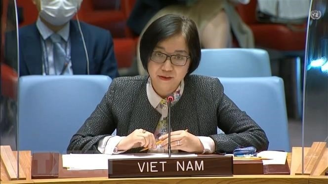Vietnamese Ambassador Nguyen Phuong Tra. (Photo: VNA)