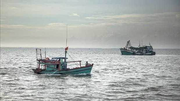 Vietnamese offshore fishing vessels in the waters of Kien Hai, Kien Giang province. (Photo: VNA)