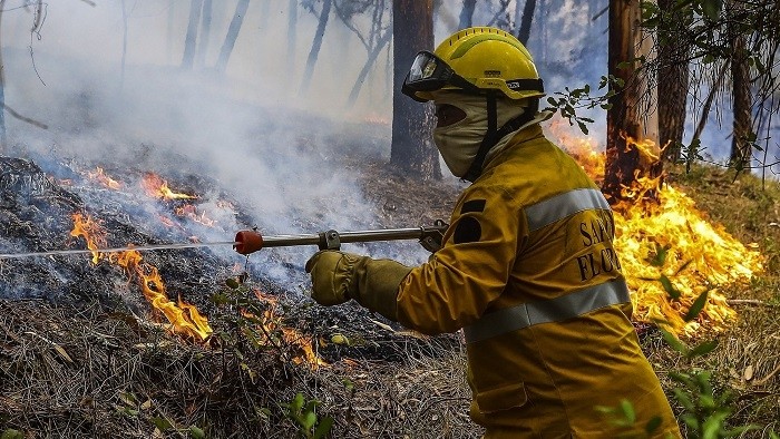 Portugal will remain in its "alert situation" until Thursday as the risk of wildfires continues amid the heatwave and drought that have been plaguing the country since early July, Minister of Internal Administration Jose Luis Carneiro said Tuesday.