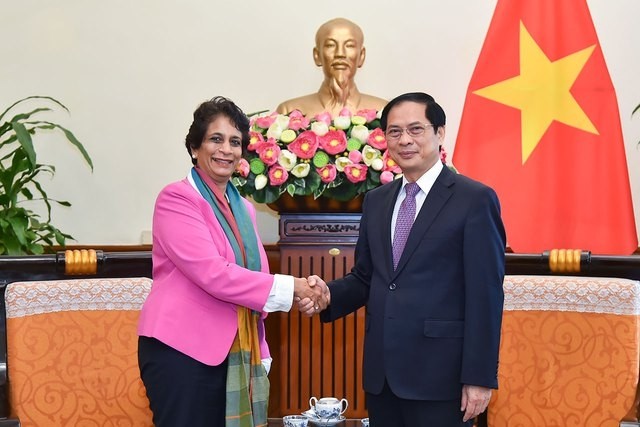 Minister of Foreign Affairs Bui Thanh Son receives UN Assistant Secretary General and UNDP Regional Director for Asia and the Pacific Kanni Wignaraja (Photo:VGP)
