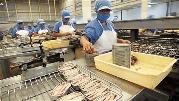 Vietnam’s tuna exports to France up 203% in seven months. (Photo: VNA) 
