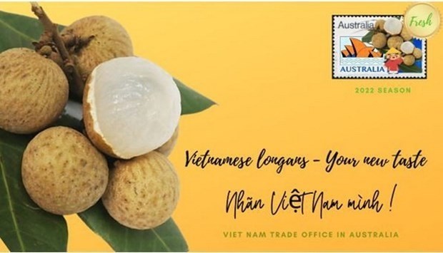 The Vietnam Trade Office organises an event to introduce Vietnamese longan to local consumers (Photo:  congthuong.vn)