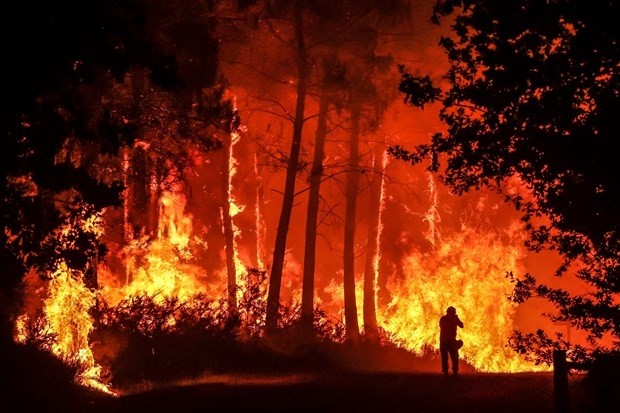 A forest on fire near Belin-Beliet in southwest France (Photo: AFP/VNA)