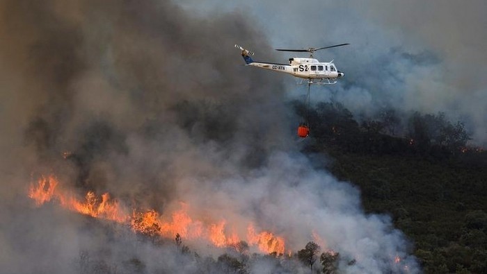 Efforts to extinguish forest fires caused by heat in Spain on July 15. (Photo: REUTERS)