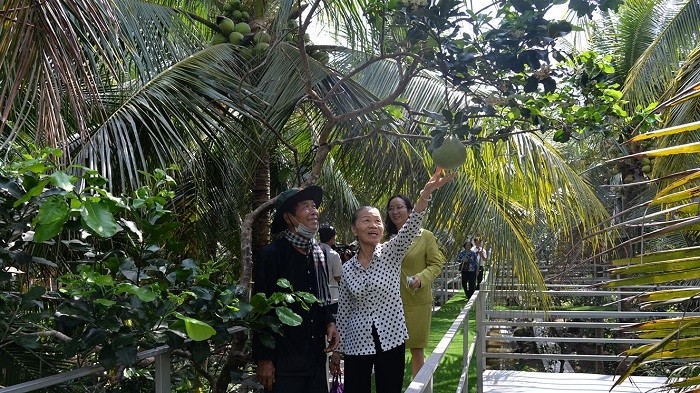 Visitors at Doan Van Khanh’s coconut garden (Photo: baoapbac.vn)