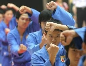 World martial art championship comes to Vietnam