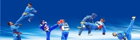 Vietnam Vovinam carries noble mission to 27th SEA Games