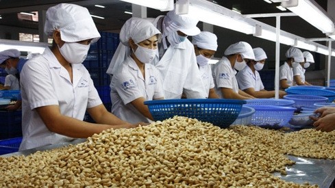 Vietnam records US$100 million trade deficit as shipments plunge