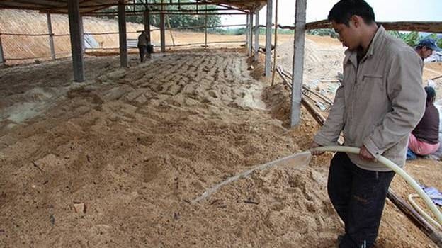 A farmer prepares padding before raising livestock under the model.