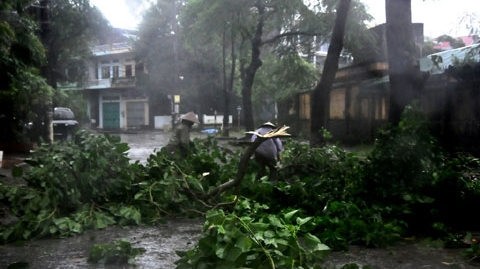 The storm brings down trees in Mong Cai city, Quang Ninh province. (Image credit: Nhan Dan)