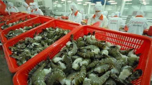 Vietnam is now the largest shrimp exporter to the Republic of Korea.