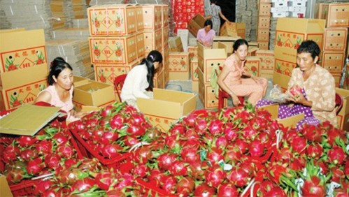 Vietnam's agricultural exports posted steady growth in the first nine months of 2014.