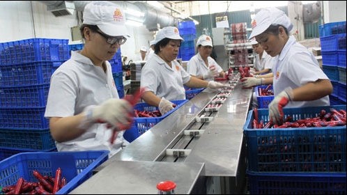 AmCham seems optimistic about Vietnam's economic outlook