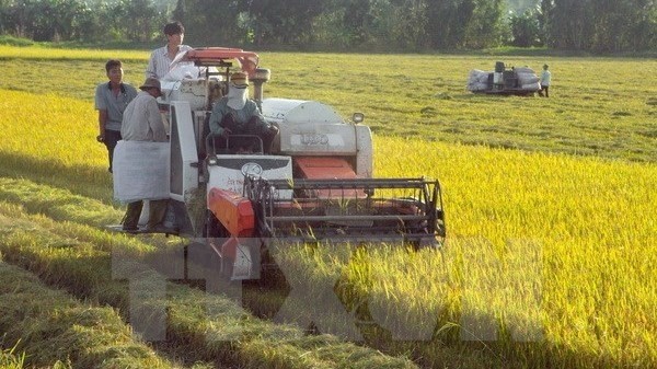 The decoration is to recognise Lee Sang Mu’s significant contributions to developing agriculture and rural areas in Vietnam.