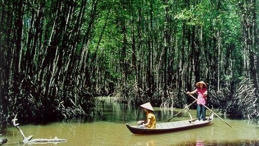 VND63 billion allocated to preserve mangrove forest ecology