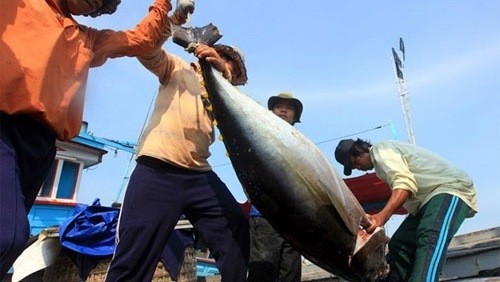 Fisheries output up 2.3% in January.