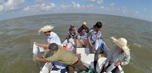 The Mekong Delta province of Bac Lieu releases shrimp fry into the sea. (Photo: VNA)