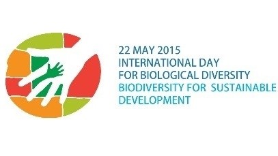 Conserve biodiversity for sustainable development