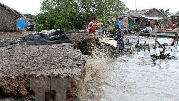 Climate change and sea level rise have caused drastic impacts on livelihoods. (Photo: VNA)