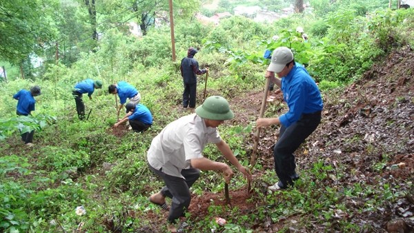 Compensatory afforestation is an effective tool to avoid deforestation and forest degradation.