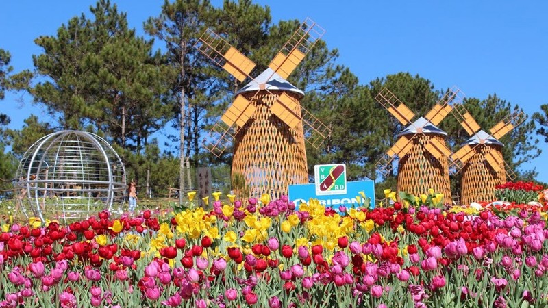 Da Lat city and its surrounding areas will be covered with decorative flowers during the sixth Flower Festival 