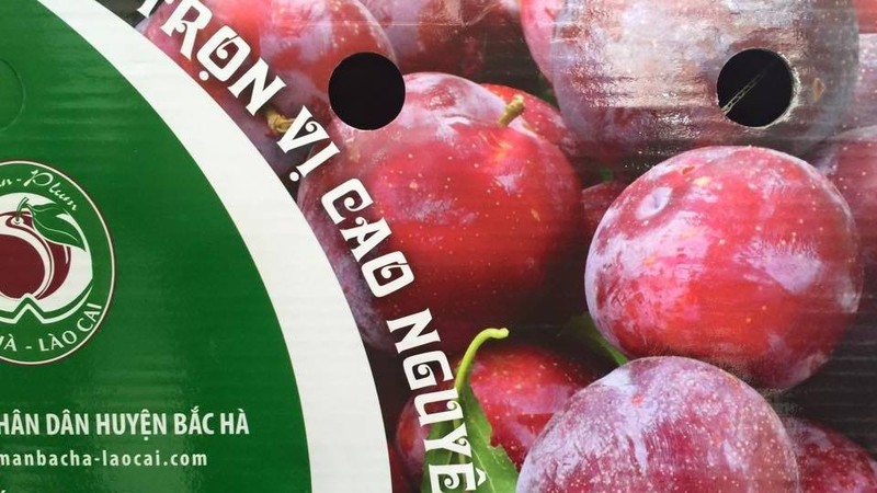 The Bac Ha plum brand has a green package with the slogan ‘A full taste of the White Plateau’.