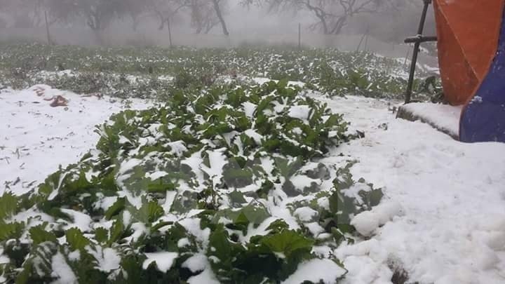 Snow falls in Hang Kia and Pa Co communes in Mai Chau.