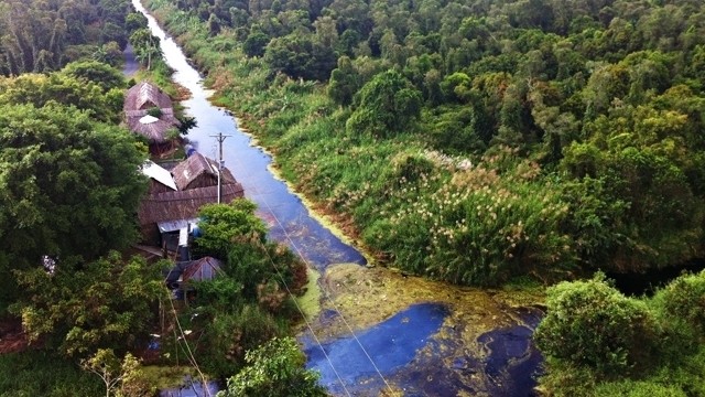 U Minh Ha national park is an attractive destination in the south.