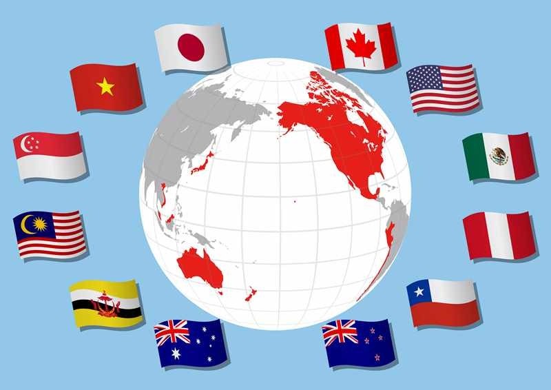The freshly-sealed TPP agreement brings together 12 countries: Australia, Brunei, Canada, Chile, Japan, Malaysia, Mexico, New Zealand, Peru, Singapore, the US and Vietnam.