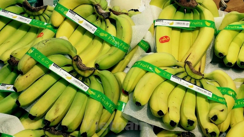 Vietnamese bananas on display at supermarkets in Japan. (Credit: VNA)