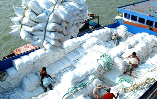 The VFA anticipates that exports of rice in the coming months will likely lift again due to more orders from other countries in the Southeast Asian region. (Credit: hoinongdan.org.vn)