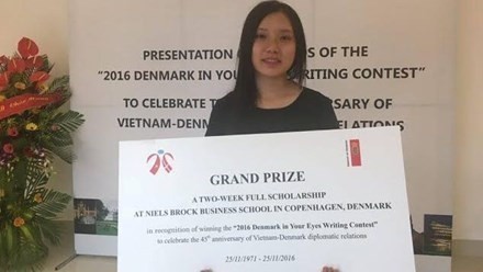 Pham Tam Dan, a ninth-grade student at Nguyen Sieu private school, wins first prize of the contest (Photo: VNA)