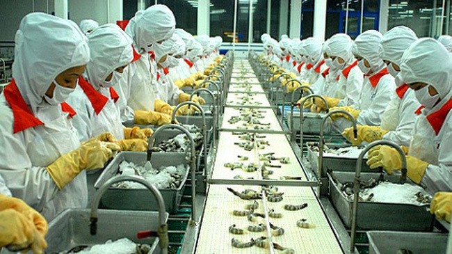 Shrimp processing for export